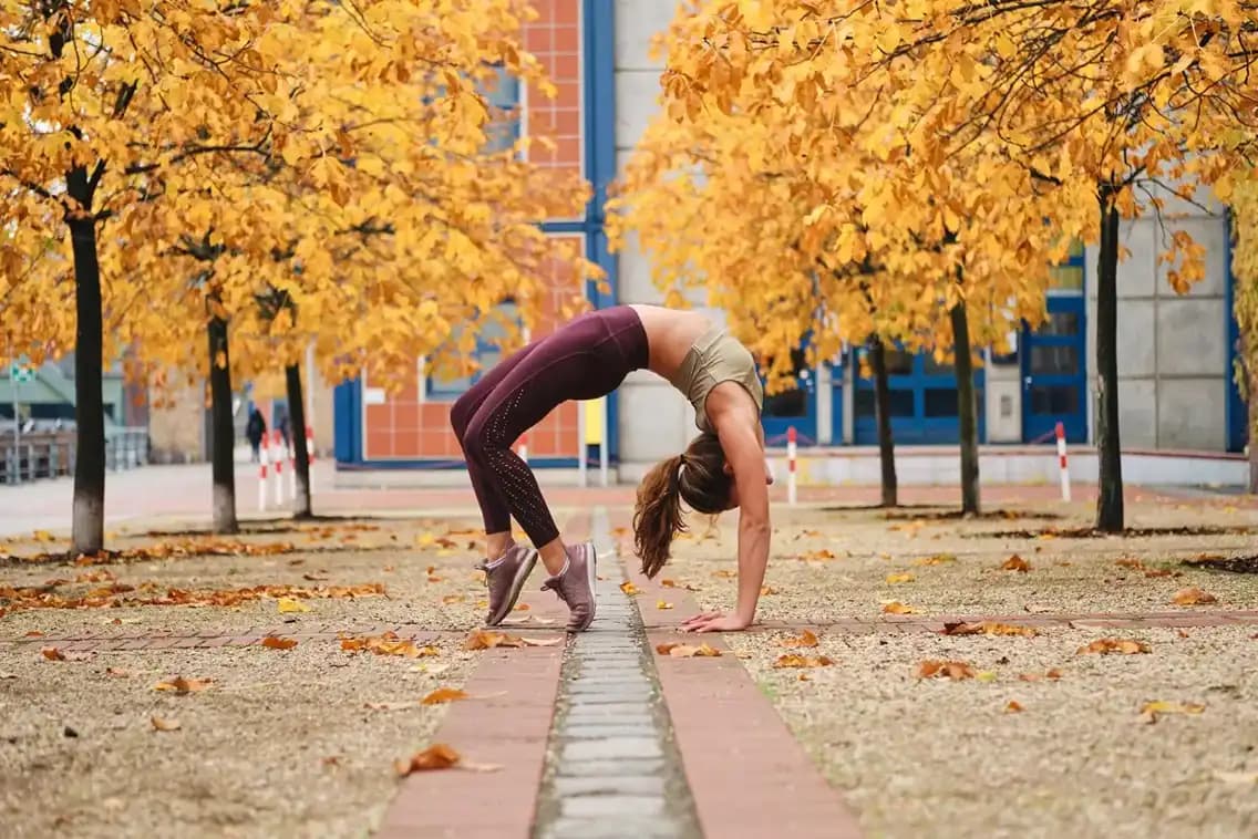 Calisthenics