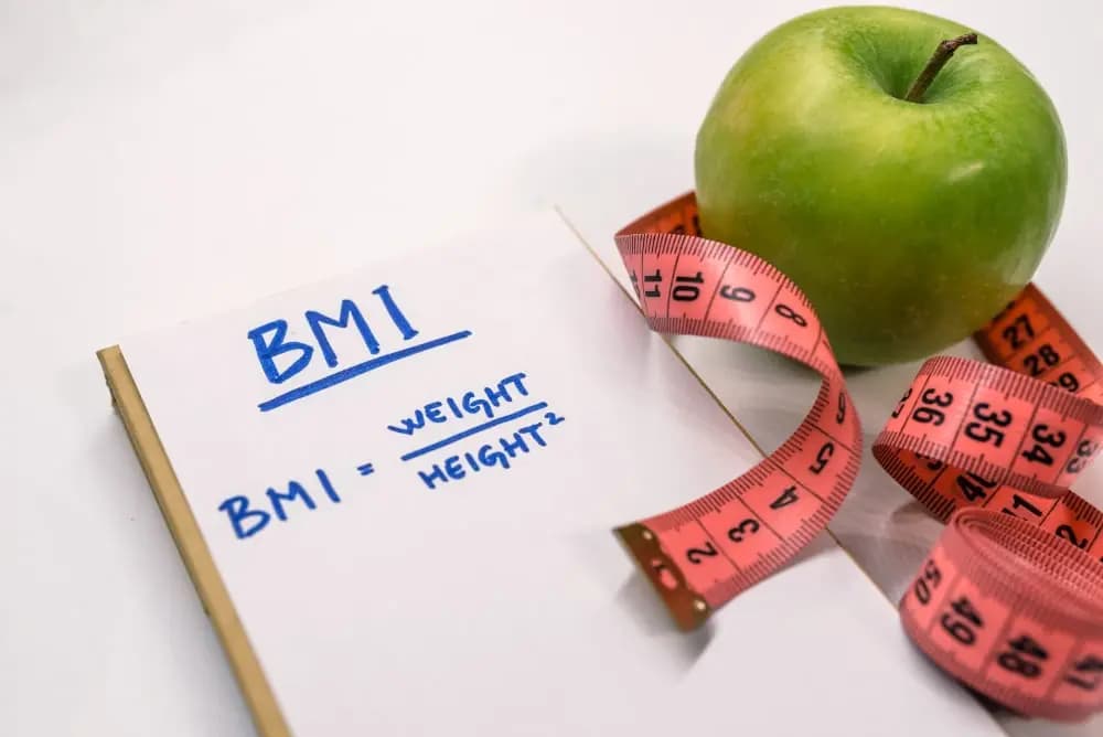 bmr vs bmi