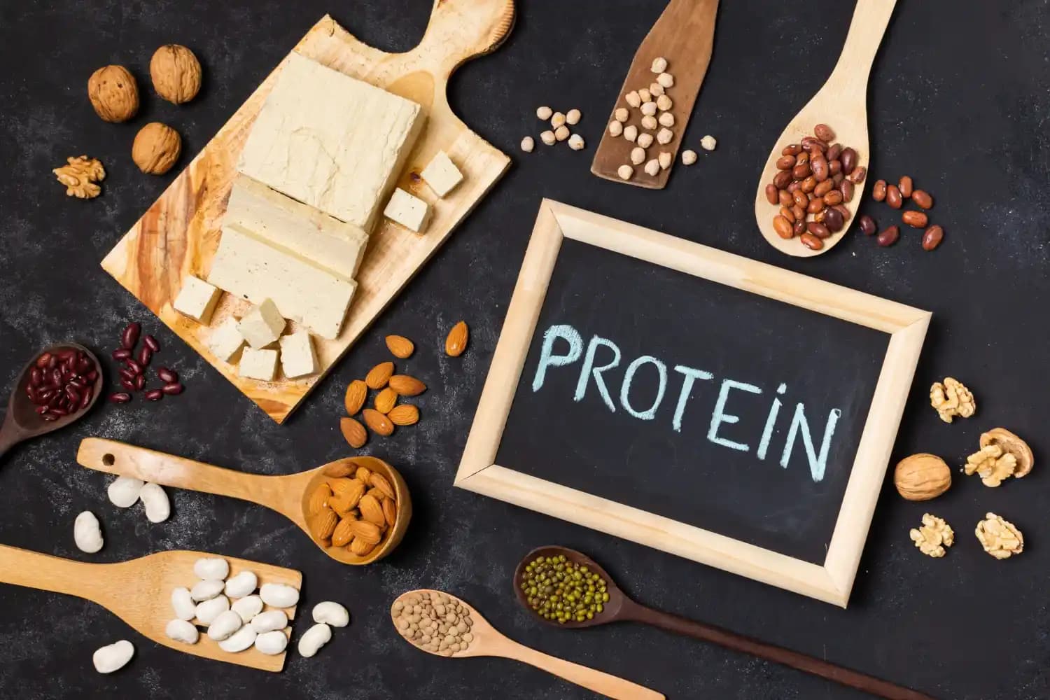 Protein Myths