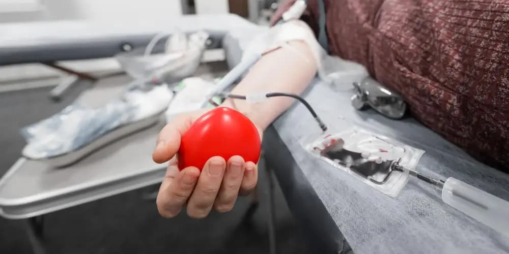 can you workout after you give blood