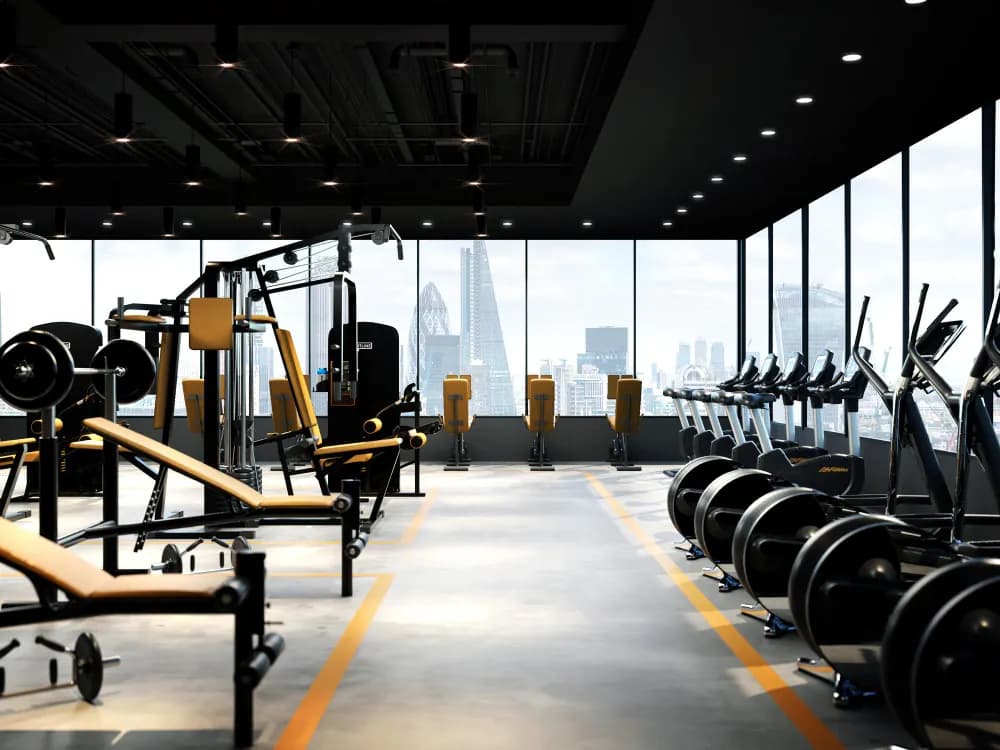 seated calf raise machine