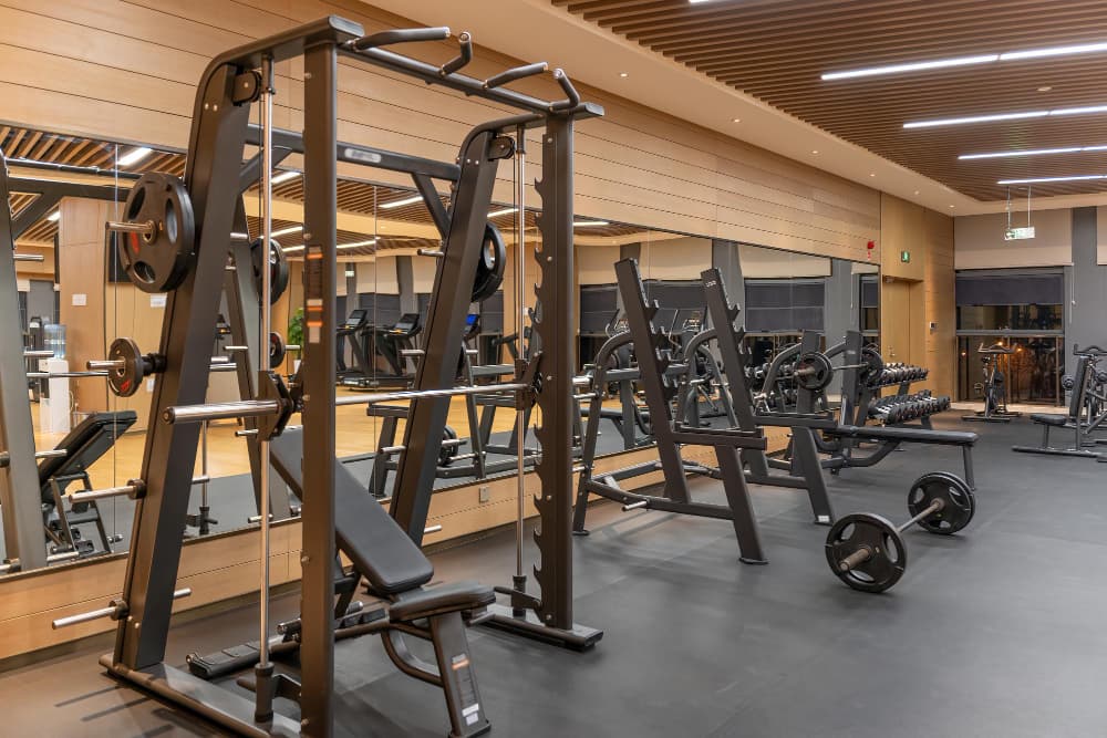 smith machine bar weight