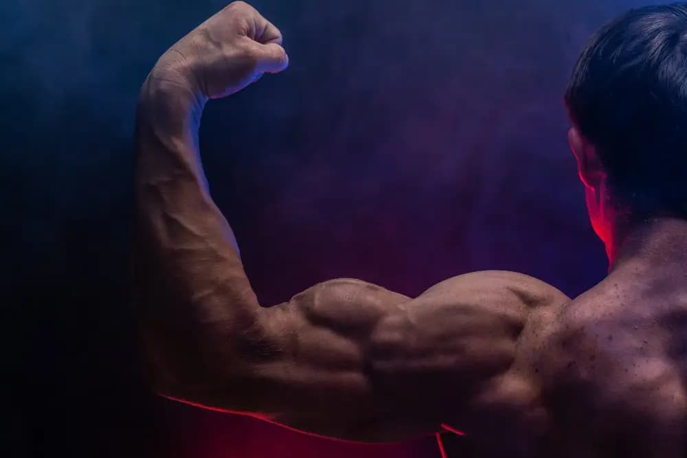 incline curls for biceps