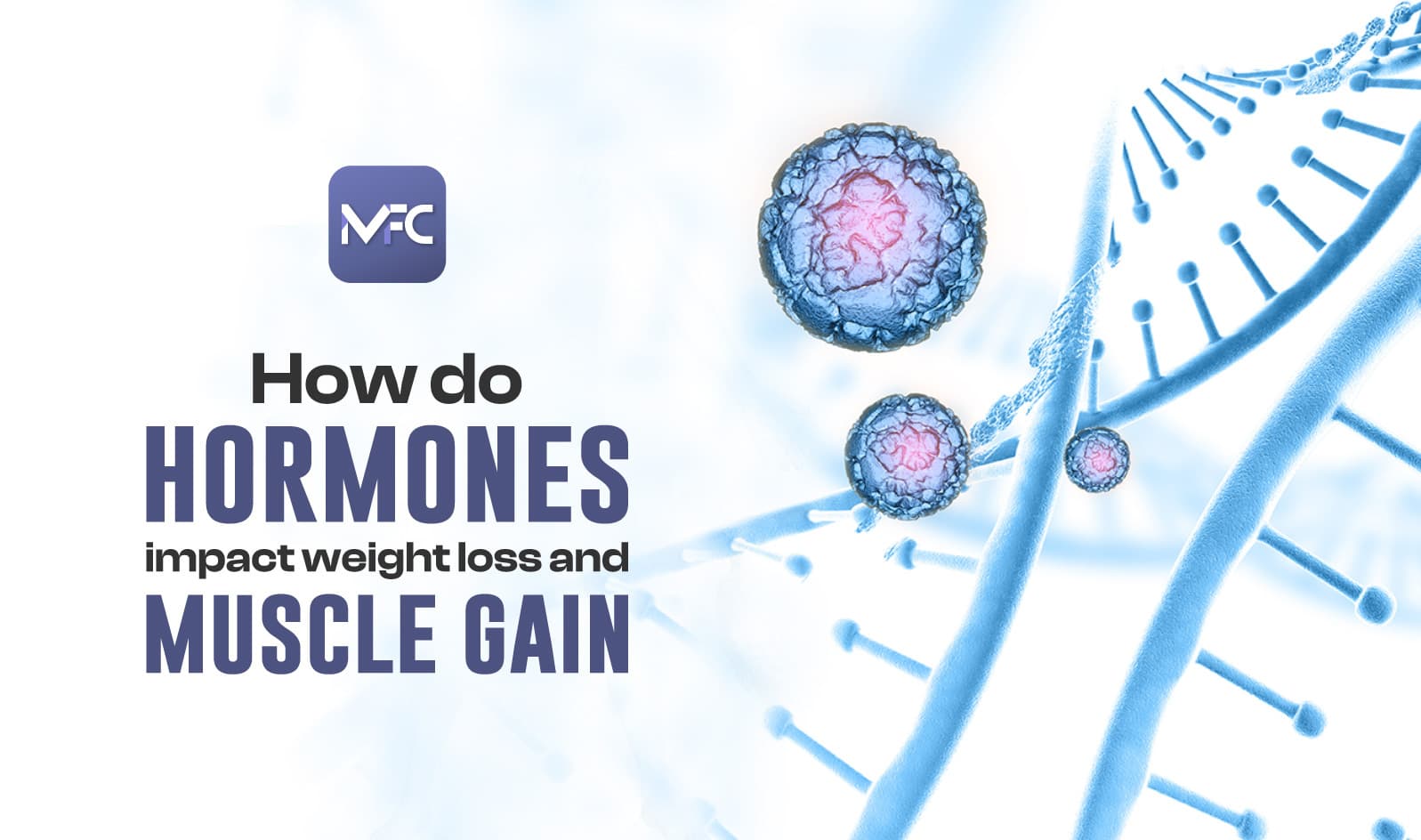 hormones impact weight loss and muscle gain