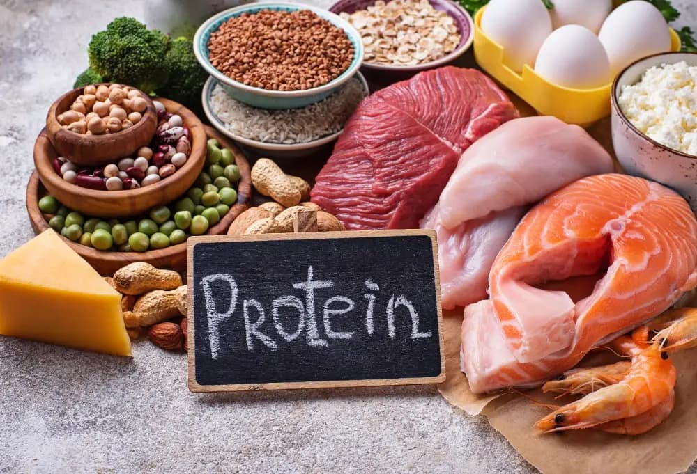 how much protein per meal