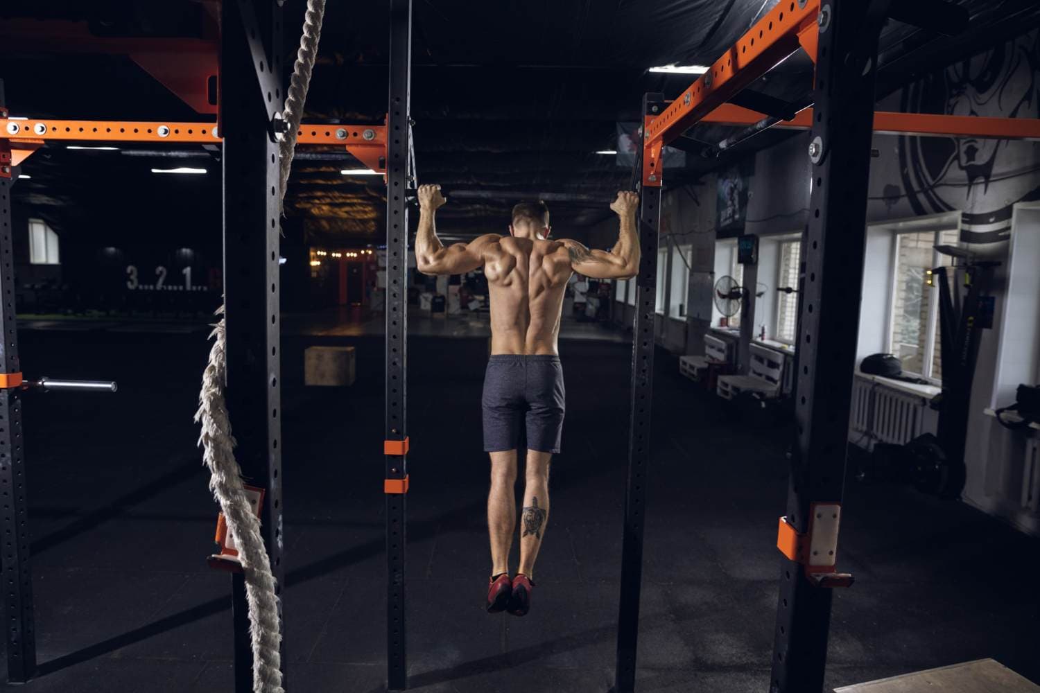 power rack exercises