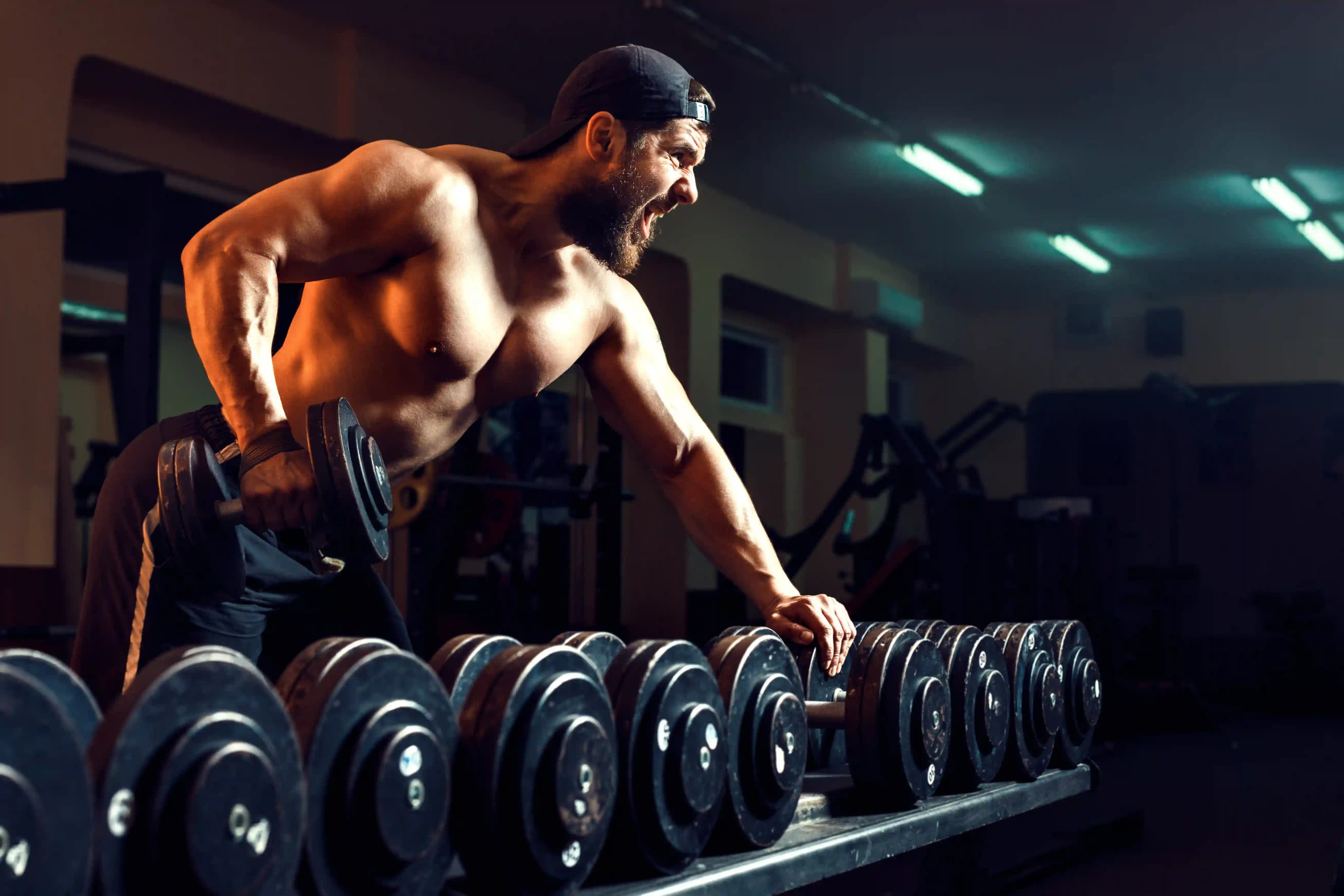 Gym Fitness