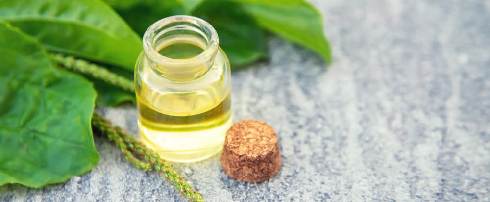 castor oil for hemorrhoid