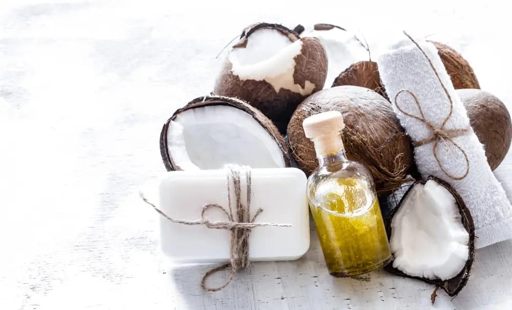 cocoa butter vs shea butter
