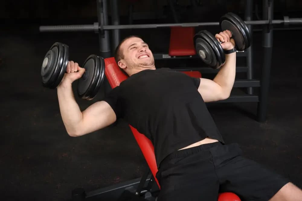 db shoulder press bench angle