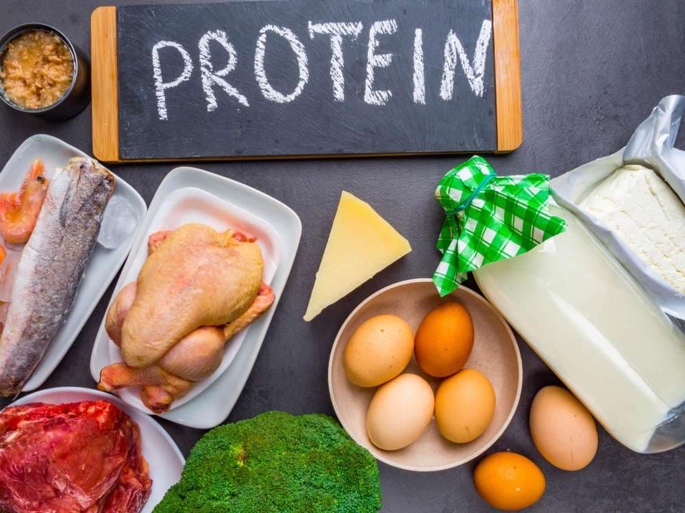 what do proteins do